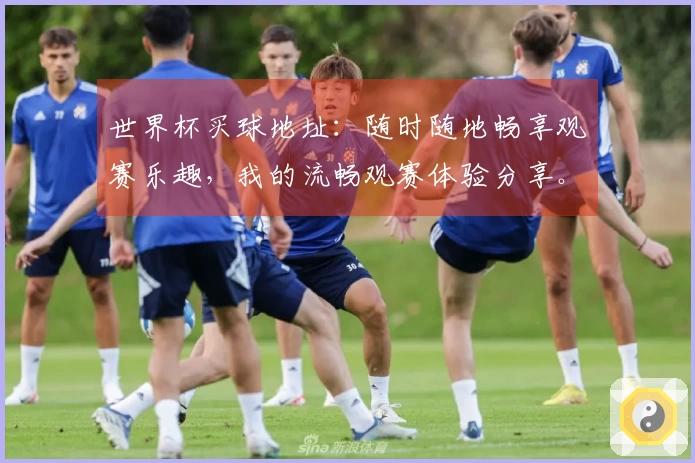 世界杯买球地址:随时随地畅享观赛乐趣,我的流畅观赛体验分享。
