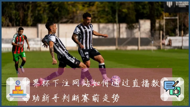 世界杯下注网站如何通过直播数据帮助新手判断赛前走势