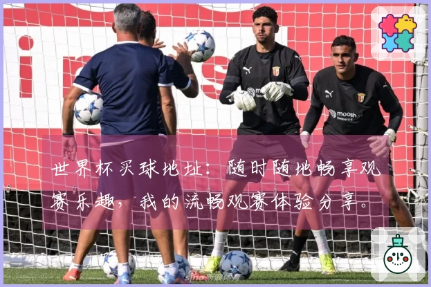 世界杯买球地址：随时随地畅享观赛乐趣，我的流畅观赛体验分享。