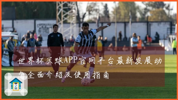 世界杯买球APP官网平台最新发展动态全面介绍及使用指南