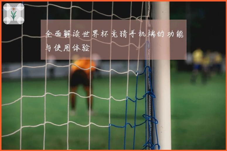 全面解读世界杯竞猜手机端的功能与使用体验