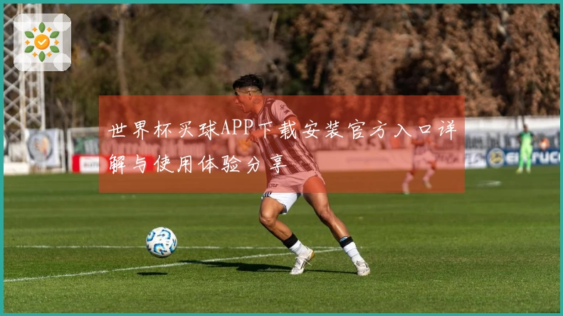 世界杯买球APP下载安装官方入口详解与使用体验分享