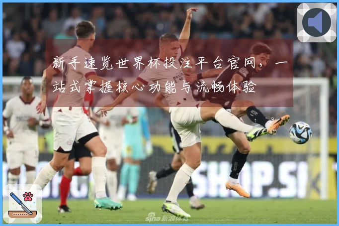 新手速览世界杯投注平台官网，一站式掌握核心功能与流畅体验