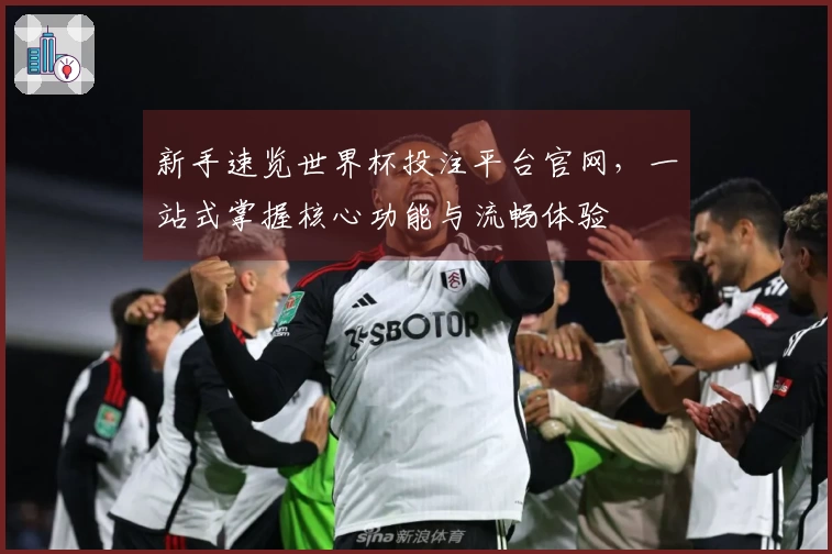 新手速览世界杯投注平台官网，一站式掌握核心功能与流畅体验