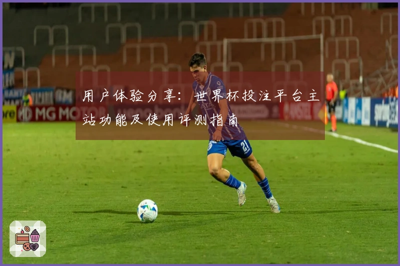 用户体验分享：世界杯投注平台主站功能及使用评测指南