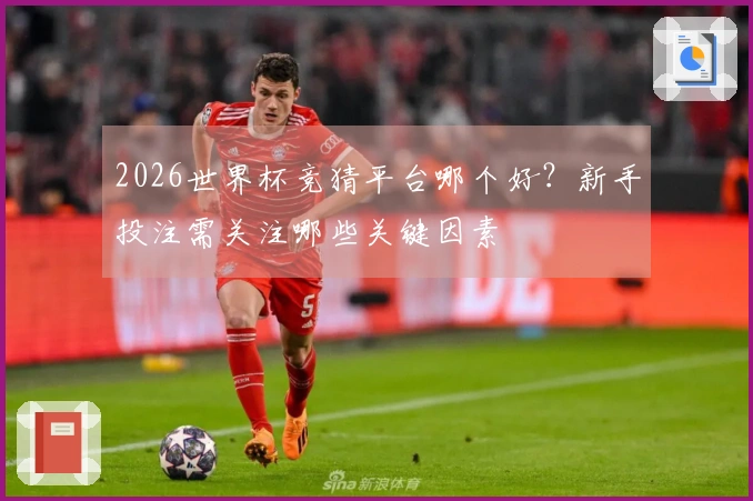2026世界杯竞猜平台哪个好？新手投注需关注哪些关键因素