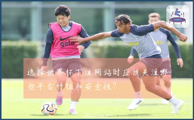 选择世界杯下注网站时应该关注哪些平台特征和安全性？